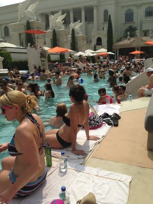 Garden of the Gods Pool Oasis by null