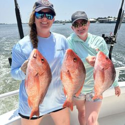 Distraction Charters - We caught some nice ones !!!