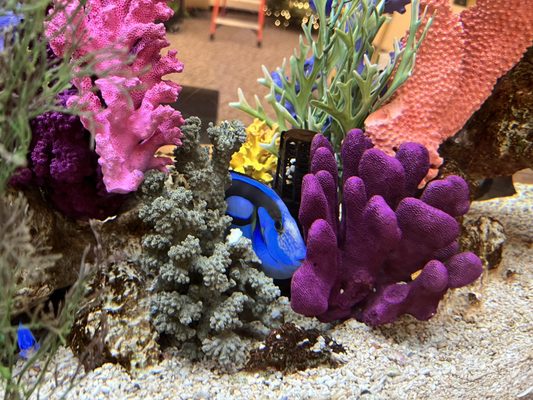 Photo of UC San Diego Health - Alvarado Welcome - San Diego, CA, US.