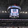 Photo of Manitoba Moose Hockey Club