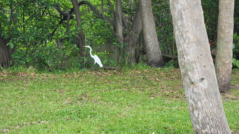 Reverend Samuel Delevoe Memorial Park Image