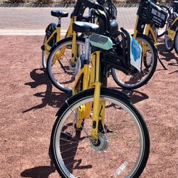 Through2Eyes - The "wheels" on the walk and talk tour.