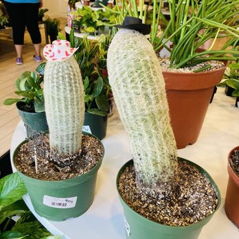 Roots - Nurseries & Gardening Near Me - Kansas City, Missouri