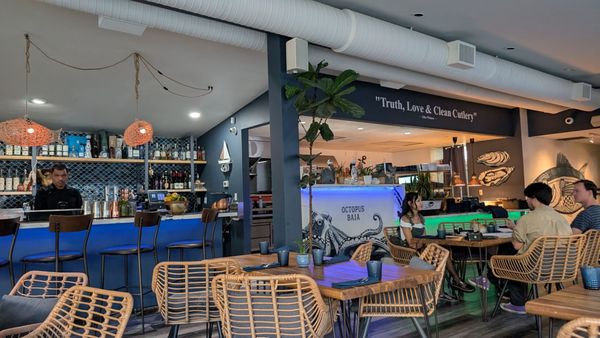 Octopus Baja by null