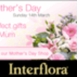 Gwillim Florists