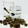 Photo of Panther Canna - Royse City