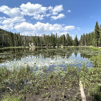 Nymph Lake - Nymph Lake with Lily Pads - Lakes Near Me - Estes Park, Colorado