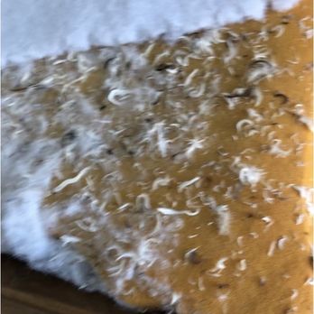 Deluxe Custom Upholstery - old one that has feathers on it that they put back on the so call new one - Furniture Reupholstery Near Me - Fullerton, California Deluxe Custom Upholstery - old one that has feathers on it that they put back on the so call new one - Furniture Reupholstery Near Me - Fullerton, California