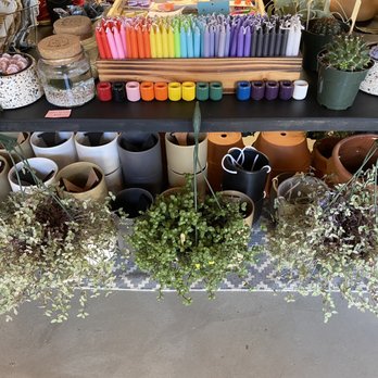 Citrine Bloom - Nurseries & Gardening Near Me - Portland, Oregon Citrine Bloom - Nurseries & Gardening Near Me - Portland, Oregon
