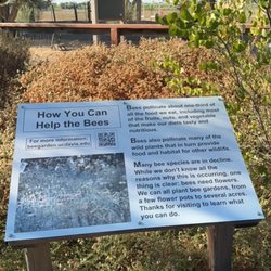 Haagen - Dazs Honey Bee Haven