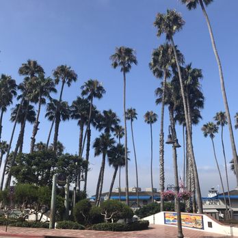 Bear Coast Coffee - The view - Coffee & Tea Near Me - San Clemente, California