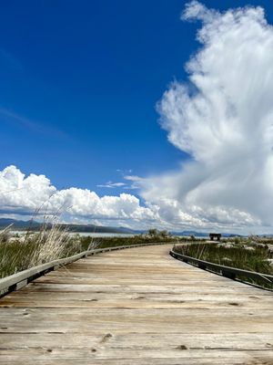 Mono Lake by null