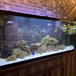River Town Grill - Fish tank