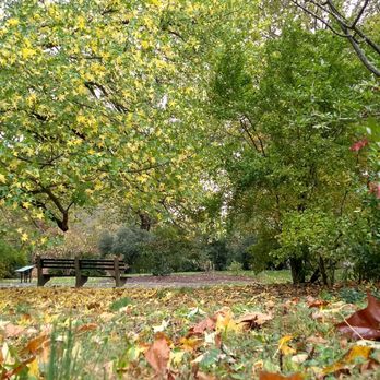 Arnold Arboretum - Parks Near Me - Boston, Massachusetts Arnold Arboretum - Parks Near Me - Boston, Massachusetts