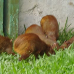Parque Anilinas