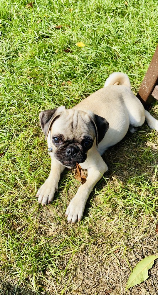 LACEY CAR WASH & QWIK LUBE Updated July 2024 29 Reviews 317 US