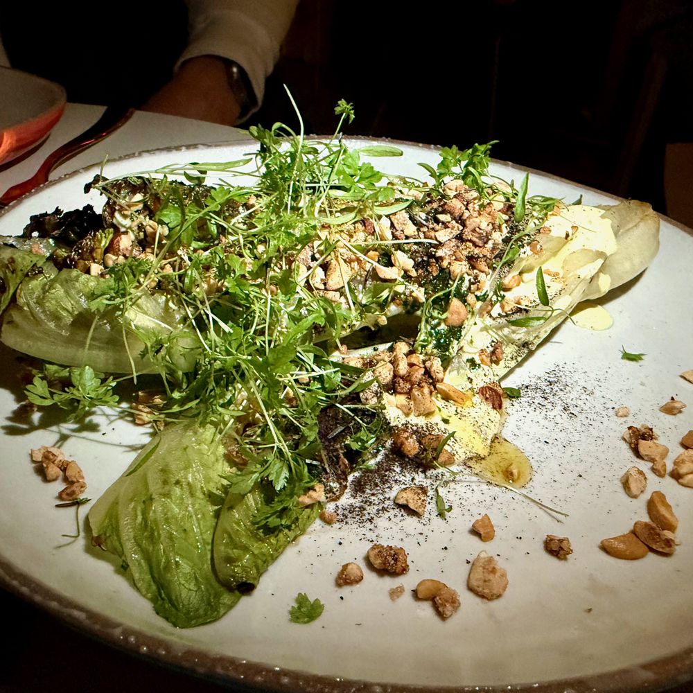Madre Selva - JOSPER ROMAINE - Latin American Near Me - Atlanta, Georgia