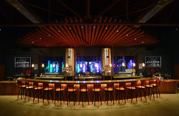 Elation Brewing by null