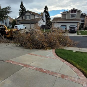 Valley Falls Tree Care - work goes faster when you have the right equipment - Tree Services Near Me