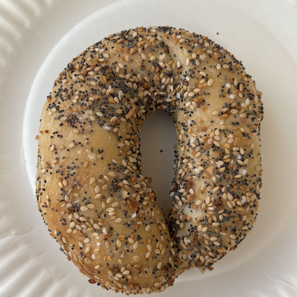 Everything horseshoe bagel Everything horseshoe bagel