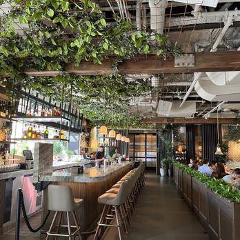 Aba - Bar/indoor area - Mediterranean Near Me - Chicago, Illinois