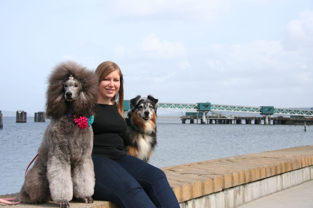 ZOE’S CANINE DESIGN 39 Photos Pet Groomers Edmonds, WA Phone