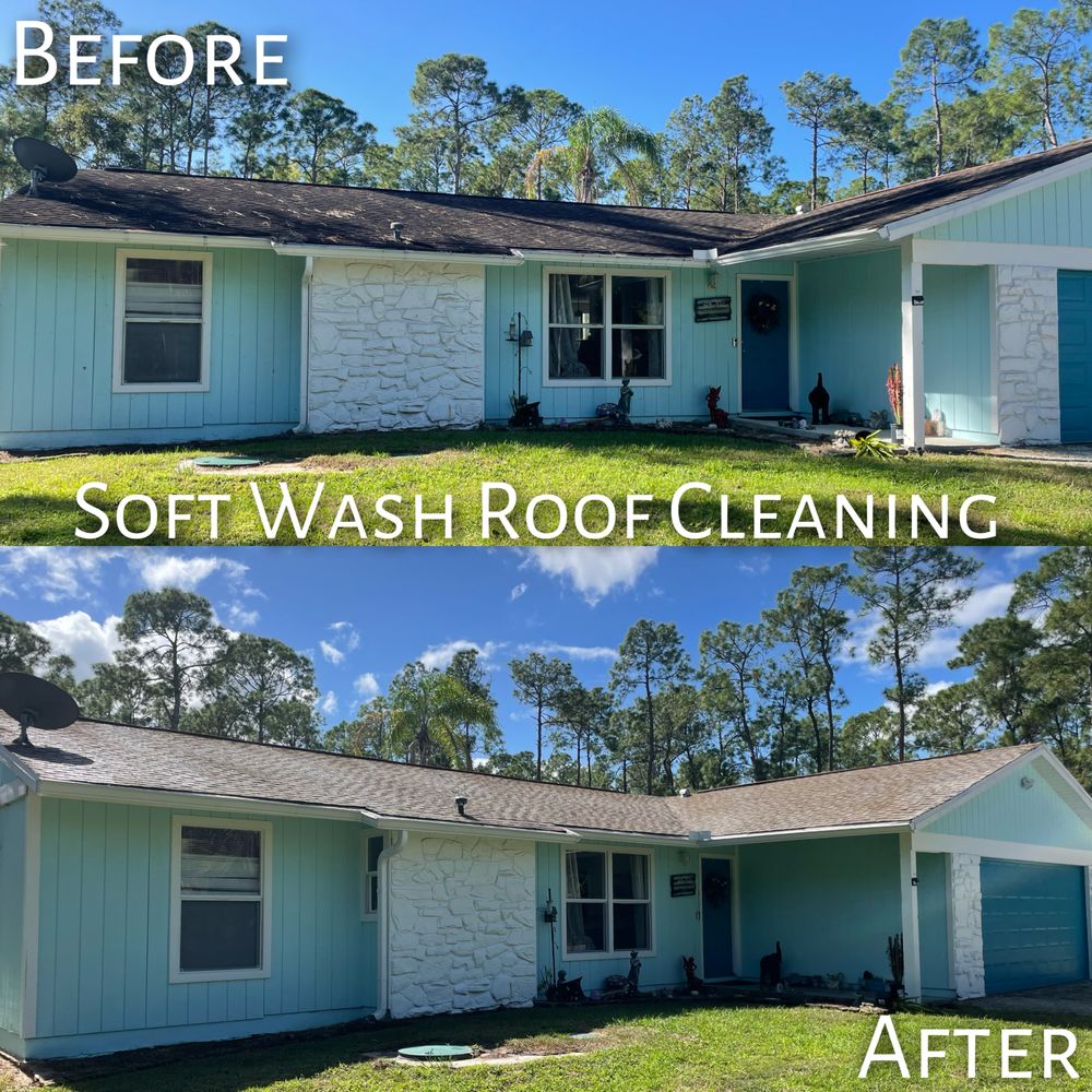 Slide of Wise Guys Pressure Cleaning