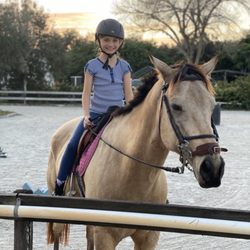 Horse Prairie Farm - Boras