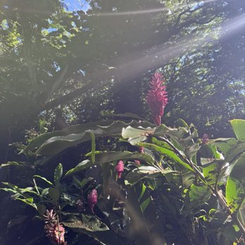Kauai Safaris - Tours Near Me - Lihue, Hawaii