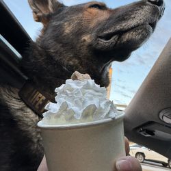 Pop Drinks
