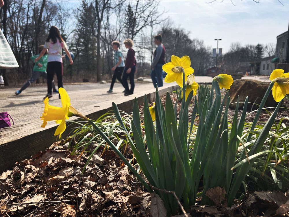 Waldorf School of DuPage - childcare center in Warrenville, IL