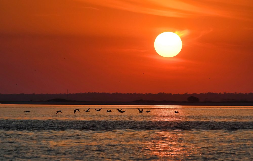 Lady Swan Boat Tours