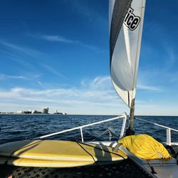 Sail Wild Hearts