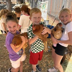 Little Reds Barnyard Friends