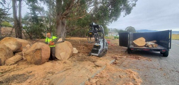 No Job Too Big or Too Small - Coastside Tree Service - No Job Too Big or Too Small - Coastside Tree Service No Job Too Big or Too Small - Coastside Tree Service - No Job Too Big or Too Small - Coastside Tree Service