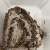 Bakes & Cakes gift card