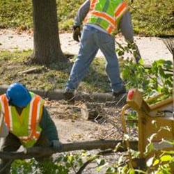 DC Family Tree Service