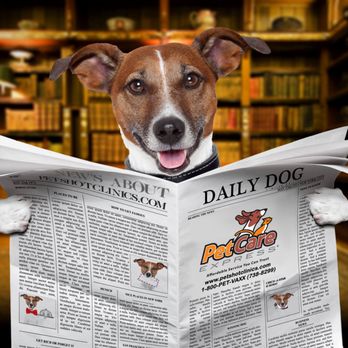 PetCare Express - Veterinarians Near Me - Albuquerque, New Mexico PetCare Express - Veterinarians Near Me - Albuquerque, New Mexico