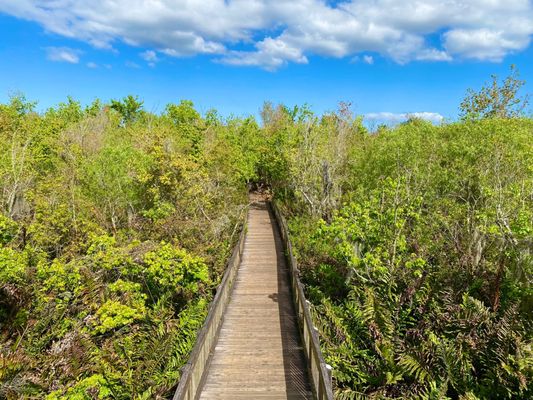 Sawgrass Lake Park by null