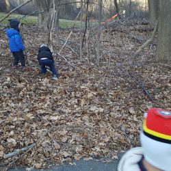 Jewish Preschool of Lexington - A Winter Walk in our woods