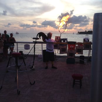 Dominique's Circus Cats - Performing Arts Near Me - Key West, Florida Dominique's Circus Cats - Performing Arts Near Me - Key West, Florida