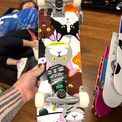 Sixes and Sevens Skateshop