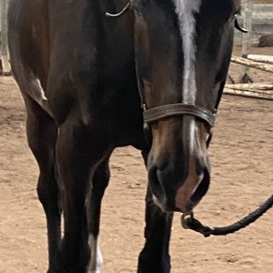 Hidden Lake Farm Riding School on Yelp