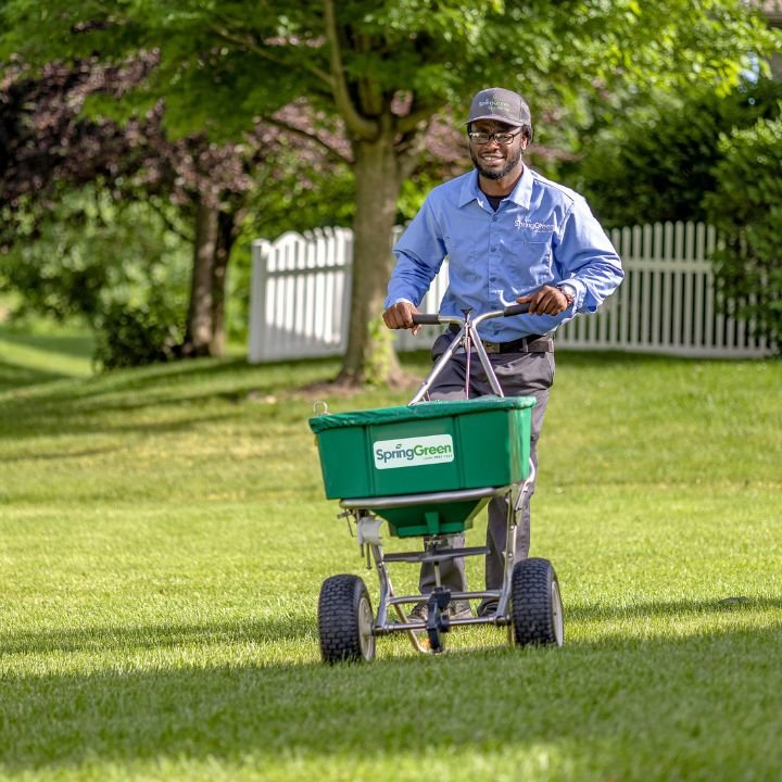 SpringGreen - tree service in Middletown, PA