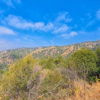 Big Dalton Canyon Wilderness Park - Parks Near Me - Glendora, California Big Dalton Canyon Wilderness Park - Parks Near Me - Glendora, California