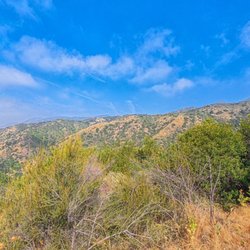 Big Dalton Canyon Wilderness Park