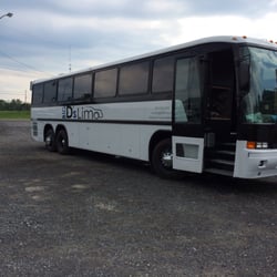 Big D's Limos