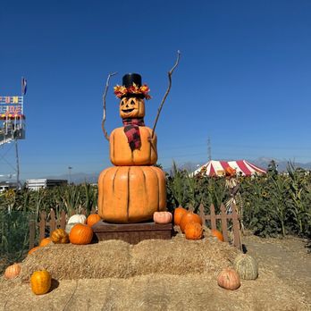 Frosty's Forest Pumpkin Patch - Attraction Farms Near Me - Chino, California Frosty's Forest Pumpkin Patch - Attraction Farms Near Me - Chino, California