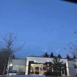 Magnolia Animal Dentistry