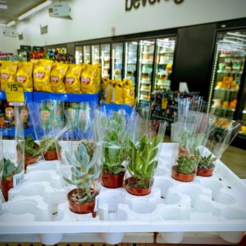 CVS Pharmacy - Cactus. - Drugstores Near Me - LOS ANGELES, California CVS Pharmacy - Cactus. - Drugstores Near Me - LOS ANGELES, California